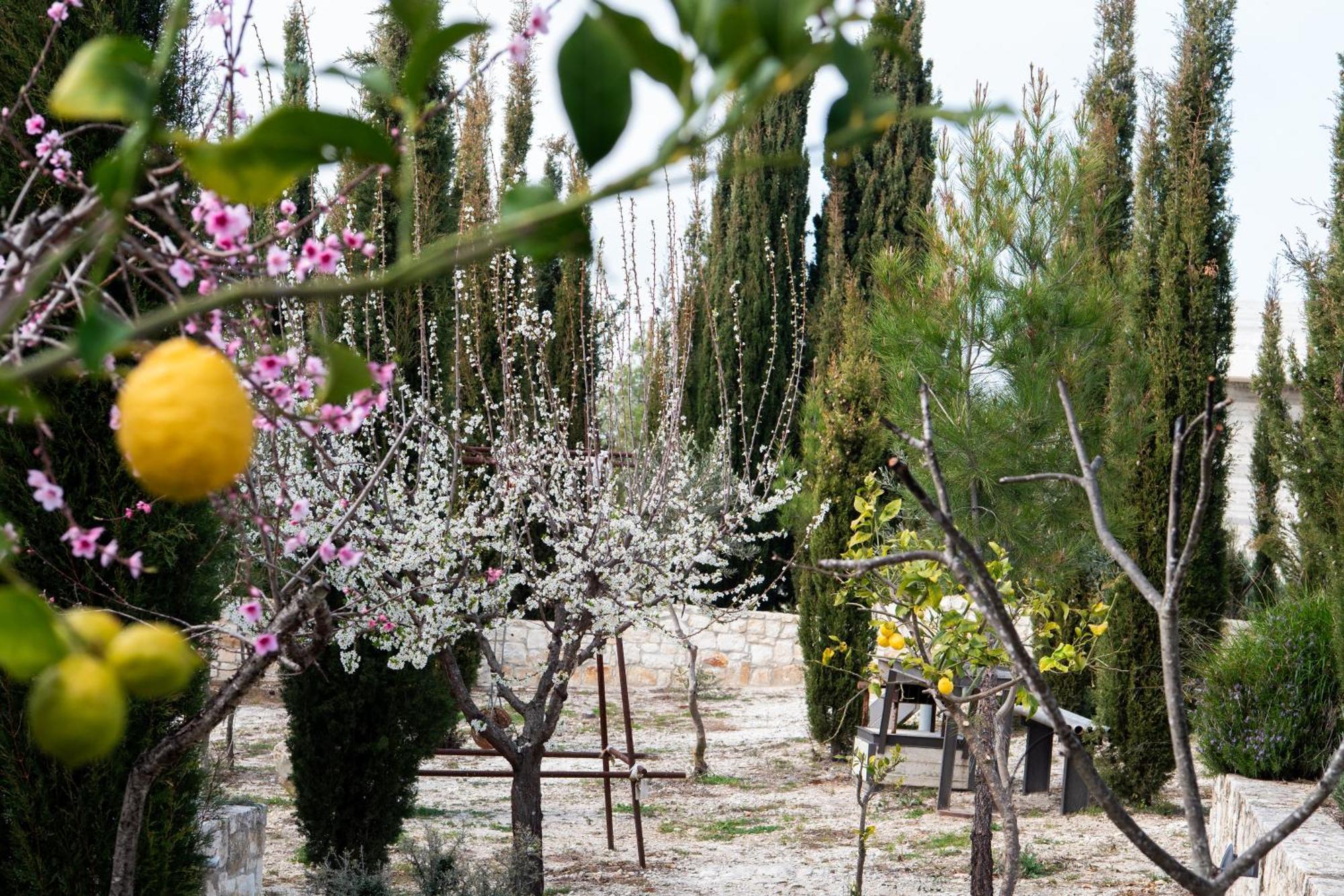Ayia Marina Villa Kathikas Buitenkant foto